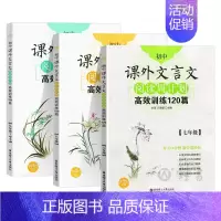 789年级 文言文(3本) 初中通用 [正版]初中课外文言文阅读周计划高效训练120篇 七八九年级现代文阅读周计划 78