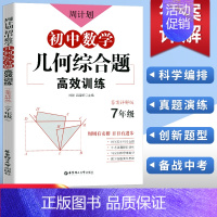 7年级 几何综合题高效训练 初中通用 [正版]初中课外文言文阅读周计划高效训练120篇 七八九年级现代文阅读周计划 78