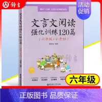 (6年级+小升初) 文言文阅读强化训练120篇 初中通用 [正版]初中课外文言文阅读周计划高效训练120篇 七八九年级现