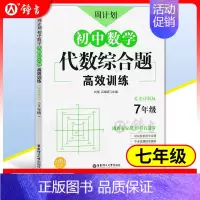7年级 代数综合题高效训练 初中通用 [正版]初中课外文言文阅读周计划高效训练120篇 七八九年级现代文阅读周计划 78