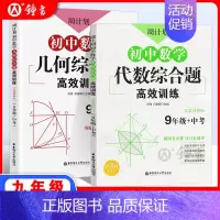 9年级 代数综合+几何综合(2本) 初中通用 [正版]初中课外文言文阅读周计划高效训练120篇 七八九年级现代文阅读周计