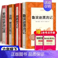 [★bi读4册]鲁滨孙+骑鹅旅行记+爱丽丝+汤姆索亚[人文版] [正版]童年高尔基六年级小英雄雨来爱的教育课外阅读世界名