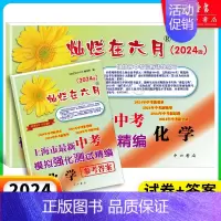 中考模拟卷 化学+答案 九年级/初中三年级 [正版]2024灿烂在六月上海中考历年真题 数学语文英语物理化学 2012-
