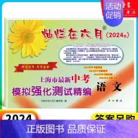 中考模拟卷 语文(仅试卷) 九年级/初中三年级 [正版]2024灿烂在六月上海中考历年真题 数学语文英语物理化学 201