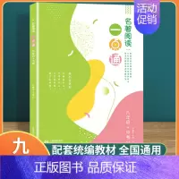 名著阅读一点通 9年级+中考 初中通用 [正版]名著阅读一点通七年级六年级八年级九年级许丽伟初中统编版语文名著导读考点解