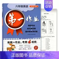 6上 英语 初中通用 [正版]第一作业 六七八九年级上下册第一二学期 语文数学英语物理化学 上海版初中同步课后练习 华东
