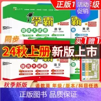 联系客服(套尺)(勿拍) 四年级上 [正版]2024秋新小学学霸提优大试卷一年级二年级三年级四五六上册语文数学英语人