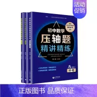 [7-9年级共3册]初中数学压轴题精讲精练 初中通用 [正版]初中中考数学压轴题精讲精练突破阅读探究新定初中数学压轴题7