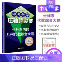 中考数学压轴题突破:坐标系内的几何代数综合大题 初中通用 [正版]初中中考数学压轴题精讲精练突破阅读探究新定初中数学压轴