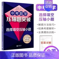 中考数学压轴题突破:选择填空压轴小题 初中通用 [正版]初中中考数学压轴题精讲精练突破阅读探究新定初中数学压轴题789年