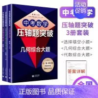 中考数学压轴题突破系列(全3册) 初中通用 [正版]初中中考数学压轴题精讲精练突破阅读探究新定初中数学压轴题789年级数