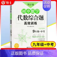 9年级 代数综合题 初中通用 [正版]周计划初中数学计算题代数综合几何综合高效训练 初中课外文言文阅读120篇 现代文阅