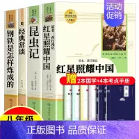 [4册]《红星照耀中国+昆虫记+经典常谈+钢铁是怎样炼成的》 [正版]红星照耀中国昆虫记原著完整版钢铁是怎样炼成的傅雷家