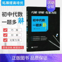 初中代数一题多解 初中通用 [正版]初中代数几何一题多变多解图变量变题根不变巧解妙解化繁为简中考总复习挑战压轴举一反三奥