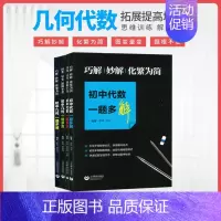 [4本]初中代数+初中几何 初中通用 [正版]初中代数几何一题多变多解图变量变题根不变巧解妙解化繁为简中考总复习挑战压轴