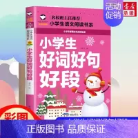 好词好句好段 小学通用 [正版]2024新版小学生多功能大语文素材词典小学作文素材积累彩图大字版名人名言歇后语好词好句好