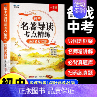 [全2册]名著导读考点精炼+必背文学文化常识 初中通用 [正版]2024版初中名著导读考点精练阅读名著导读与考点同步解读