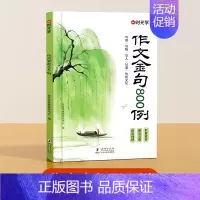 [覆盖99%写作题型]作文金句800例 [正版]2024新版时光学词穷救星成语大百科大语文素材 全国通用 好词好句好段
