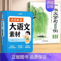 [全2册]大语文素材+作文金句 [正版]2024新版时光学词穷救星成语大百科大语文素材 全国通用 好词好句好段 名人名言