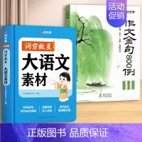 [全2册]大语文素材+作文金句 [正版]2024新版时光学词穷救星成语大百科大语文素材 全国通用 好词好句好段 名人名言