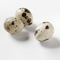 盒装 鹌纯蛋 24枚装 (预售)