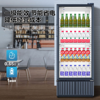 海尔 立式冰柜 商用饮料展示柜 280L大容量冷藏保鲜柜商店超市便利店冰镇啤酒饮料陈列柜 SC-309J