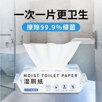 [TLXT湿厕纸80片装]湿厕纸一包80片可直接冲马桶大包装擦屁股湿厕纸便携抑菌洁厕纸湿厕纸湿巾