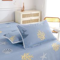 一对装棉花边老粗布枕套成年情侣儿童单人学生大中小号枕头套