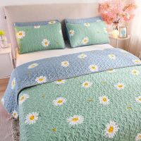 外贸尾单双面床盖夏季三件套夏凉被双人空调被加厚床单件特价清仓