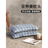 荞麦皮枕头大人单人护颈椎助睡眠家用宿舍成人男硬高枕夏季凉枕芯