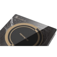 九阳电磁炉-C21S-C300