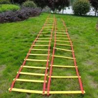 儿童体能训练器材体育户外亲子玩具跳房子跳圈圈跳格子幼儿园教具 敏捷梯5米10节