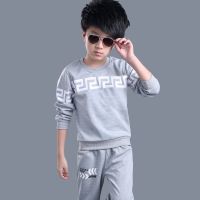 男童秋装套装2021新款儿童时尚两件套宝宝秋季小孩帅气衣服韩版潮 长城两件套灰色 单款 150