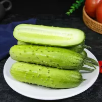 水果小黄瓜新鲜现摘山东旱黄瓜生吃孕妇蔬菜脆嫩青瓜5斤整箱 1斤
