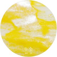 [新品大促-即将结束]彩墨 闪粉钢笔彩色墨水非碳素金粉蘸水笔 牛金 18ML含闪粉版