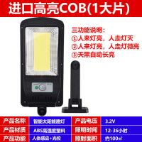 遥控式太阳能户外灯家用路灯新农村庭院灯防水人体感应灯A 太阳能100W智能型太阳能充电路灯
