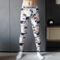 冬季新款保暖裤男加绒加厚内穿紧身青年修身秋裤男士棉裤打底裤男 T 栀子花(特价款 薄款) M (85-115斤)