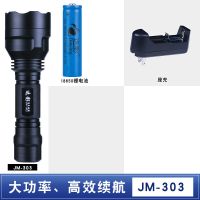 迭影 [远射400米 LED]可充电强光手电筒超亮防水远射户外 [303豪华套装]一电一充 10瓦