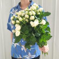 特惠方德多头玫瑰鲜花玫瑰花云南鲜花基地直发水养鲜花速递真花 特惠多头玫瑰:初雪8支+送2支防损