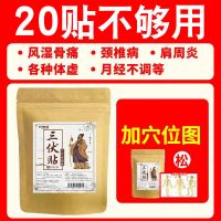 艾灸三伏贴冬病夏治祛湿驱寒咳嗽成人儿童敷贴三伏灸去湿气穴位贴 [实惠款]20贴+送穴位图+不够用