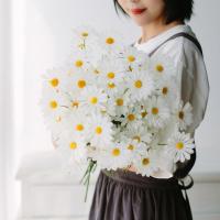 小雏菊洋甘菊非洲菊波斯菊仿真花艺菊花假花绢花家居客厅餐厅花 白色 1支装 5朵花 不推荐