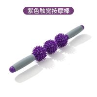 儿童感统课训练器材球按摩棒家用宝宝触觉刷抚触前庭教具幼儿玩具 紫色一支