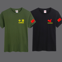 2件装夏季男士短袖t恤潮流潮牌宽松衣服新款体恤男圆领休闲大码衣 黑色地图=军绿中国 M 建议100-115斤