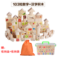 儿童玩具1-2-3-4-6周岁女孩男孩宝宝木制拼装益智力玩具 103粒积木(数字汉字)