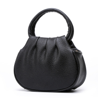 新款女士手提包小圆包休闲手拎包迷你小包包妈妈买菜零钱包手机包 黑色