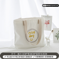 帆布包女ins风单肩包大容量手提休闲文艺拉链挎包学生上班布袋包 精致版白色NICEDAY