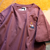 青山如锦雪山如缎 日系复古绣花短袖t恤oversize宽松男女情侣半袖 豆沙红 S