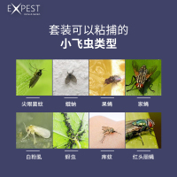小飞虫诱捕器果蝇家用一扫光苍蝇贴神器强力粘EXPEST除虫厕所蛾蚋