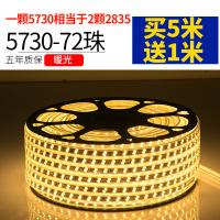 led灯条三色变光家用变色客厅吊顶220V户外防水rgb长条软七彩 5730-72灯暖光★买满5米送1米 其它 其它