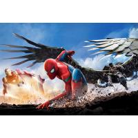 木质拼图1000片500英雄3影视明星成年人女生减压儿童益智创意玩具 300片荷兰弟001